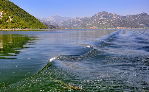 Скадарское озеро в Черногории. Фото: Яндекс.Фотки, mvk-10